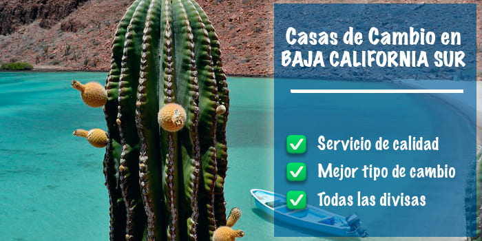 Casas de cambio en Baja California Sur