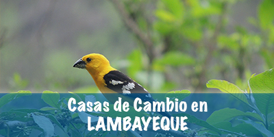 Casas de cambio en Lambayeque